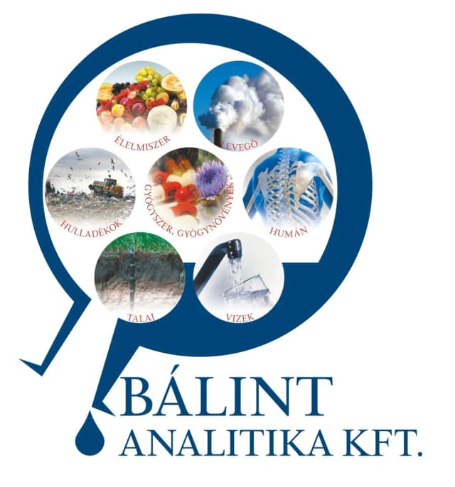 Bálint Analitika Kft.
